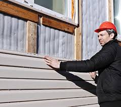 Best Vinyl Siding Installation  in Las Flores, CA